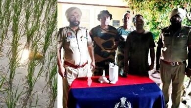 BSF foils cross-border smuggling attempts; Heroin, opium, and pistol parts recovered BSF foils cross-border smuggling attempts; Heroin, opium, and pistol parts recovered