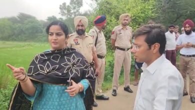 ਡੀਸੀ ਦੀਪ ਸ਼ਿਖਾ ਸ਼ਰਮਾ ਨੇ ਫਿਰੋਜ਼ਪੁਰ ਦੇ ਹੜ੍ਹ ਪ੍ਰਭਾਵਿਤ ਪਿੰਡਾਂ ਦਾ ਦੌਰਾ ਕੀਤਾ