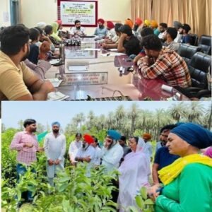 ਬਾਗਬਾਨੀ ਫ਼ਸਲਾਂ ਵਿਚ ਪਨੀਰੀ ਪ੍ਰਬੰਧਨ: ਕਿਸਾਨ ਵੀਰਾਂ ਅਤੇ ਕਿਸਾਨ ਬੀਬੀਆਂ ਲਈ ਲਾਹੇਵੰਦ ਸਹਾਇਕ ਕਿੱਤਾ