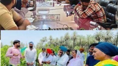 ਬਾਗਬਾਨੀ ਫ਼ਸਲਾਂ ਵਿਚ ਪਨੀਰੀ ਪ੍ਰਬੰਧਨ: ਕਿਸਾਨ ਵੀਰਾਂ ਅਤੇ ਕਿਸਾਨ ਬੀਬੀਆਂ ਲਈ ਲਾਹੇਵੰਦ ਸਹਾਇਕ ਕਿੱਤਾ