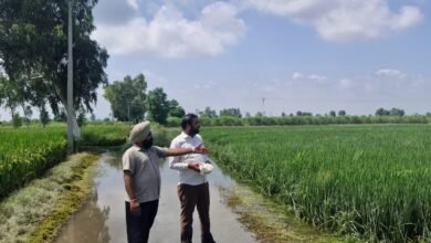 ਹੜ੍ਹ ਪ੍ਰਭਾਵਿਤ ਖੇਤਰਾਂ ਵਿੱਚ ਫ਼ਸਲਾਂ ਦੇ ਖਰਾਬੇ ਦਾ ਜਾਇਜ਼ਾ ਲੈ ਕੇ ਰਿਪੋਰਟ ਤਿਆਰ ਕਰ ਰਹੇ ਹਨ ਅਧਿਕਾਰੀ: ਡਿਪਟੀ ਕਮਿਸ਼ਨਰ ਹੜ੍ਹ ਪ੍ਰਭਾਵਿਤ ਖੇਤਰਾਂ ਵਿੱਚ ਫ਼ਸਲਾਂ ਦੇ ਖਰਾਬੇ ਦਾ ਜਾਇਜ਼ਾ ਲੈ ਕੇ ਰਿਪੋਰਟ ਤਿਆਰ ਕਰ ਰਹੇ ਹਨ ਅਧਿਕਾਰੀ: ਡਿਪਟੀ ਕਮਿਸ਼ਨਰ