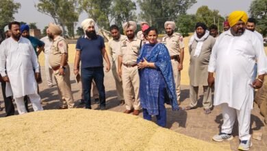 ਡਿਪਟੀ ਕਮਿਸ਼ਨਰ ਨੇ ਫ਼ਿਰੋਜ਼ਸ਼ਾਹ ਮੰਡੀ ਦਾ ਦੌਰਾ ਕਰਕੇ ਖਰੀਦ ਪ੍ਰਬੰਧਾਂ ਦਾ ਲਿਆ ਜਾਇਜ਼ਾ