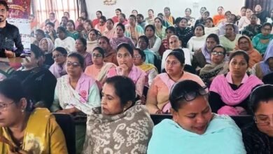 ਮਿਸ਼ਨ ਵਾਤਸਲਿਆ ਅਧੀਨ 'ਬਾਲ ਸੁਰੱਖਿਆ' 'ਤੇ ਵਰਕਸ਼ਾਪ ਆਯੋਜਿਤ