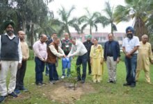 ਸ਼ਹੀਦ ਭਗਤ ਸਿੰਘ ਸਟੇਟ ਯੂਨੀਵਰਸਿਟੀ, ਵੱਲੋਂ ਵਾਤਾਵਰਣ ਸੰਬੰਧੀ ਜਾਗਰੂਕਤਾ ਤੇ“ਏਆਈ ਫਾਰ ਐਨਵਾਇਰਨਮੈਂਟਲ ਮਾਨੀਟਰਿੰਗ ਐਂਡ ਸਸਟੇਨੇਬਿਲਿਟੀ” ਵਿਸ਼ੇ ‘ ਵਰਕਸ਼ਾਪ ਕਮ ਪ੍ਰਦਰਸ਼ਨੀ ਦਾ ਆਯੋਜਨ 