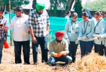 ‘ਦ ਗ੍ਰੀਨ ਕਾਰਨਿਵਲ’ ਤਹਿਤ ਮਯੰਕ ਫਾਊਂਡੇਸ਼ਨ ਵੱਲੋਂ ਵਰਮੀ-ਕੰਪੋਸਟਿੰਗ ਵਰਕਸ਼ਾਪ ਦਾ ਆਯੋਜਨ