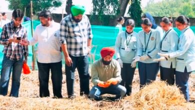 ‘ਦ ਗ੍ਰੀਨ ਕਾਰਨਿਵਲ’ ਤਹਿਤ ਮਯੰਕ ਫਾਊਂਡੇਸ਼ਨ ਵੱਲੋਂ ਵਰਮੀ-ਕੰਪੋਸਟਿੰਗ ਵਰਕਸ਼ਾਪ ਦਾ ਆਯੋਜਨ