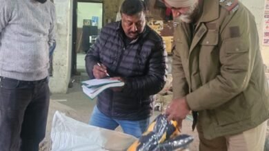 फिरोजपुर मंडल में 30 दिवसीय विशेष जांच अभियान: गलत घोषित पार्सलों के 5 मामले पकड़े, ₹2625 जुर्माना वसूला