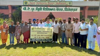 ਪੀ.ਏ.ਯੂ.–ਕ੍ਰਿਸ਼ੀ ਵਿਗਿਆਨ ਕੇਂਦਰ, ਫਿਰੋਜ਼ਪੁਰ ਨੇ ਵਿਗਿਆਨਕ ਮਧੂ ਮੱਖੀ ਪਾਲਣ ਬਾਰੇ ਪੰਜ ਰੋਜ਼ਾ ਸਿਖਲਾਈ ਦਿੱਤੀ