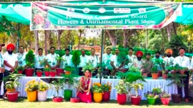 “ਗ੍ਰੀਨ ਕਾਰਨੀਵਲ ਵਿੱਚ ਖਿੜਿਆ ਕੁਦਰਤ ਦਾ ਸੁਹੱਪਣ : ਫੁੱਲਾਂ ਦੀ ਪ੍ਰਦਰਸ਼ਨੀ ਬਣੀ ਖਿੱਚ ਦਾ ਕੇਂਦਰ”