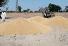 ਕਿਸਾਨਾਂ ਦੀ ਕਣਕ ਦੀ ਖਰੀਦ ਬਿਨਾਂ ਸ਼ਰਤ ਖਰੀਦ ਏਜੰਸੀਆਂ ਤੋਂ ਤੁਰੰਤ ਸ਼ੁਰੂ ਕਰਾਵਾਏ ਮਾਨ ਸਰਕਾਰ