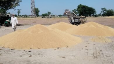 ਕਿਸਾਨਾਂ ਦੀ ਕਣਕ ਦੀ ਖਰੀਦ ਬਿਨਾਂ ਸ਼ਰਤ ਖਰੀਦ ਏਜੰਸੀਆਂ ਤੋਂ ਤੁਰੰਤ ਸ਼ੁਰੂ ਕਰਾਵਾਏ ਮਾਨ ਸਰਕਾਰ