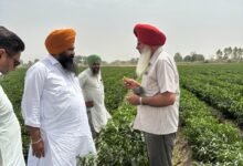 ਮਿੱਟੀ ਦੀ ਸਿਹਤ ਬਚਾਉਣ ਲਈ ਸੰਤੁਲਿਤ ਖਾਦ ਪ੍ਰਬੰਧਨ ਜ਼ਰੂਰੀ : ਕੇ.ਵੀ.ਕੇ. ਫ਼ਿਰੋਜ਼ਪੁਰ