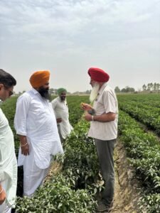 ਮਿੱਟੀ ਦੀ ਸਿਹਤ ਬਚਾਉਣ ਲਈ ਸੰਤੁਲਿਤ ਖਾਦ ਪ੍ਰਬੰਧਨ ਜ਼ਰੂਰੀ : ਕੇ.ਵੀ.ਕੇ. ਫ਼ਿਰੋਜ਼ਪੁਰ