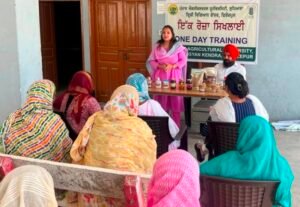 ਪੀ. ਏ. ਯੂ.-ਕੇ. ਵੀ. ਕੇ. ਵੱਲੋਂ  ਮੋਟੇ ਅਨਾਜਾਂ ਦੀ ਪ੍ਰੋਸੈਸਿੰਗ ਅਤੇ ਮੁੱਲ ਵਧਾਊ ਉਤਪਾਦਾਂ ਬਾਰੇ ਸਿਖਲਾਈ ਕੈਂਪ ਆਯੋਜਿਤ