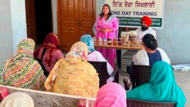 ਪੀ. ਏ. ਯੂ.-ਕੇ. ਵੀ. ਕੇ. ਵੱਲੋਂ  ਮੋਟੇ ਅਨਾਜਾਂ ਦੀ ਪ੍ਰੋਸੈਸਿੰਗ ਅਤੇ ਮੁੱਲ ਵਧਾਊ ਉਤਪਾਦਾਂ ਬਾਰੇ ਸਿਖਲਾਈ ਕੈਂਪ ਆਯੋਜਿਤ