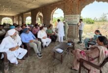 ਪੀਏਯੂ-ਕੇਵੀਕੇ ਨੇ 'ਡਵਾਰਫਿੰਗ ਵਾਇਰਸ' ਦੇ ਪ੍ਰਭਾਵਸ਼ਾਲੀ ਨਿਯੰਤਰਣ ਲਈ ਝੋਨੇ ਦੀ ਨਰਸਰੀ ਦੀ ਸਮੇਂ ਸਿਰ ਨਿਗਰਾਨੀ ਕਰਨ ਦੀ ਮੰਗ ਕੀਤੀ