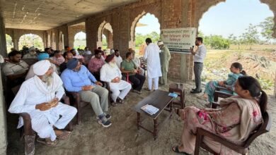 ਪੀਏਯੂ-ਕੇਵੀਕੇ ਨੇ 'ਡਵਾਰਫਿੰਗ ਵਾਇਰਸ' ਦੇ ਪ੍ਰਭਾਵਸ਼ਾਲੀ ਨਿਯੰਤਰਣ ਲਈ ਝੋਨੇ ਦੀ ਨਰਸਰੀ ਦੀ ਸਮੇਂ ਸਿਰ ਨਿਗਰਾਨੀ ਕਰਨ ਦੀ ਮੰਗ ਕੀਤੀ
