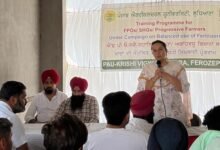 ਪੀਏਯੂ-ਕੇਵੀਕੇ ਨੇ ਕਿਸਾਨਾਂ ਨੂੰ ਸਿਫ਼ਾਰਸ਼ ਕੀਤੀਆਂ ਝੋਨੇ ਦੀਆਂ ਕਿਸਮਾਂ ਅਪਣਾਉਣ ਦੀ ਅਪੀਲ ਕੀਤੀ