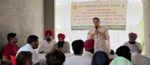 ਪੀਏਯੂ-ਕੇਵੀਕੇ ਨੇ ਕਿਸਾਨਾਂ ਨੂੰ ਸਿਫ਼ਾਰਸ਼ ਕੀਤੀਆਂ ਝੋਨੇ ਦੀਆਂ ਕਿਸਮਾਂ ਅਪਣਾਉਣ ਦੀ ਅਪੀਲ ਕੀਤੀ