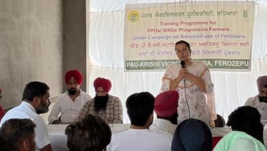 ਪੀਏਯੂ-ਕੇਵੀਕੇ ਨੇ ਕਿਸਾਨਾਂ ਨੂੰ ਸਿਫ਼ਾਰਸ਼ ਕੀਤੀਆਂ ਝੋਨੇ ਦੀਆਂ ਕਿਸਮਾਂ ਅਪਣਾਉਣ ਦੀ ਅਪੀਲ ਕੀਤੀ
