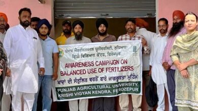 ਜੇਕਰ ਕਣਕ ਵਿੱਚ ਪਹਿਲਾਂ ਹੀ ਫਾਸਫੋਰਸ ਖਾਦ ਪਾਈ ਗਈ ਹੈ ਤਾਂ ਝੋਨੇ ਵਿੱਚ ਫਾਸਫੋਰਸ ਖਾਦ ਪਾਉਣ ਤੋਂ ਬਚੋ; ਕੇਵੀਕੇ ਕਿਸਾਨਾਂ ਨੂੰ ਸਲਾਹ ਦਿਤੀ ਸਲਾਹ
