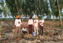 ਫਿਰੋਜ਼ਪੁਰ ਨੂੰ ਹਰਿਆ-ਭਰਿਆ ਬਣਾਉਣ ਲਈ ਵਿਸ਼ਾਲ ਮੁਹਿੰਮ ਦਾ ਆਗਾਜ਼