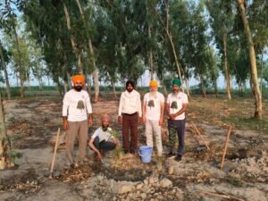 ਫਿਰੋਜ਼ਪੁਰ ਨੂੰ ਹਰਿਆ-ਭਰਿਆ ਬਣਾਉਣ ਲਈ ਵਿਸ਼ਾਲ ਮੁਹਿੰਮ ਦਾ ਆਗਾਜ਼