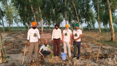 ਫਿਰੋਜ਼ਪੁਰ ਨੂੰ ਹਰਿਆ-ਭਰਿਆ ਬਣਾਉਣ ਲਈ ਵਿਸ਼ਾਲ ਮੁਹਿੰਮ ਦਾ ਆਗਾਜ਼