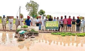 PAU-KVK ने धान की मशीनी रोपाई को बढ़ावा देने के लिए 'खेत दिवस' आयोजित किया