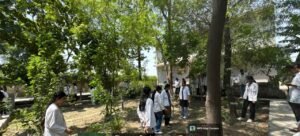 विश्व पर्यावरण दिवस के अवसर पर हार्मनी आयुर्वेदिक कॉलेज एवं अस्पताल में एक विशेष कार्यक्रम का आयोजन