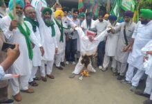 ਟਰੇਡ ਡੀਲ ਦੇ ਵਿਰੋਧ ਵਿੱਚ ਸੰਯੁਕਤ ਕਿਸਾਨ ਮੋਰਚੇ ਨੇ ਘੇਰਿਆ ਬੀਜੇਪੀ ਦਾ ਜਿਲ੍ਹਾ ਪ੍ਰਧਾਨ ਦਾ ਦਫਤਰ, ਦਿੱਲੀ ਅਤੇ ਚੰਡੀਗੜ੍ਹ ਵਿੱਚ ਵਿਦਿਆਰਥੀਆਂ ਤੇ ਹੋਏ ਤਸ਼ਦੱਦ ਦੇ ਵਿਰੋਧ ਵਿੱਚ ਫੂਕਿਆ ਪੁਤਲਾ