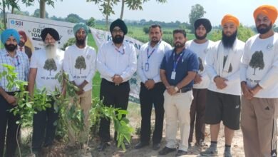 Tree Man Prof. कुलजीत सिंह और उनकी KGS Team Foundation एवं SBI की संयुक्त पहल से फिरोजपुर शहर में हरियाली का विस्तार