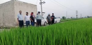 ਅੱਪਰ ਨਿਰਦੇਸ਼ਕ, ਪਸਾਰ ਸਿੱਖਿਆ ਦੇ ਨਾਲ ਆਈ ਪੀ.ਏ.ਯੂ ਲੁਧਿਆਣਾ ਦੀ ਟੀਮ ਨੇ ਫਿਰੋਜ਼ਪੁਰ ਦੇ ਅਗਾਂਹਵਧੂ ਕਿਸਾਨਾਂ ਦੇ ਖੇਤਾਂ ਦਾ ਕੀਤਾ ਦੌਰਾ ਅੱਪਰ ਨਿਰਦੇਸ਼ਕ, ਪਸਾਰ ਸਿੱਖਿਆ ਦੇ ਨਾਲ ਆਈ ਪੀ.ਏ.ਯੂ ਲੁਧਿਆਣਾ ਦੀ ਟੀਮ ਨੇ ਫਿਰੋਜ਼ਪੁਰ ਦੇ ਅਗਾਂਹਵਧੂ ਕਿਸਾਨਾਂ ਦੇ ਖੇਤਾਂ ਦਾ ਕੀਤਾ ਦੌਰਾ