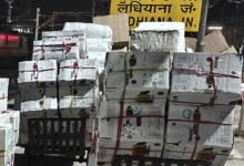 फिरोजपुर मंडल की नई उपलब्धि: लुधियाना से हावड़ा तक पहली बार पर्सिमोन फल की रेल ढुलाई शुरू