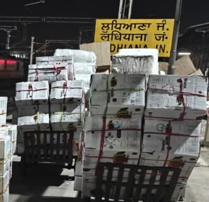 फिरोजपुर मंडल की नई उपलब्धि: लुधियाना से हावड़ा तक पहली बार पर्सिमोन फल की रेल ढुलाई शुरू फिरोजपुर मंडल की नई उपलब्धि: लुधियाना से हावड़ा तक पहली बार पर्सिमोन फल की रेल ढुलाई शुरू