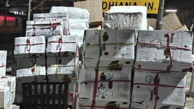फिरोजपुर मंडल की नई उपलब्धि: लुधियाना से हावड़ा तक पहली बार पर्सिमोन फल की रेल ढुलाई शुरू