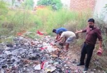 22 सैंपल फेल, मिलीं धमकियां: फिरोजपुर खाद्य सुरक्षा टीम की मिलावटखोरी के खिलाफ सख्ती जारी