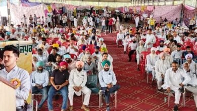 ਹਾੜੀ ਦੀਆਂ ਫਸਲਾਂ ਦੀ ਕਾਸ਼ਤ ਸਬੰਧੀ ਖੇਤੀਬਾੜੀ ਅਤੇ ਕਿਸਾਨ ਭਲਾਈ ਵਿਭਾਗ ਫ਼ਿਰੋਜ਼ਪੁਰ ਵੱਲੋ ਜ਼ਿਲ੍ਹਾ ਪੱਧਰੀ ਕਿਸਾਨ ਸਿਖਲਾਈ ਕੈਂਪ ਆਯੋਜਿਤ