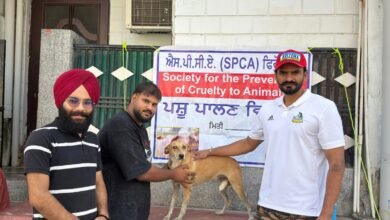 ਵਿਸ਼ਵ ਰੇਬੀਜ਼ ਦਿਵਸ ਤਹਿਤ ਅਵਾਰਾ ਕੁੱਤਿਆਂ ਨੂੰ ਮੁਫ਼ਤ ਐਂਟੀ-ਰੇਬੀਜ਼ ਟੀਕਾਕਰਨ ਕੈਂਪ ਆਯੋਜਿਤ